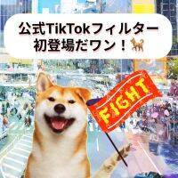【渋谷区公式TikTok ARフィルター】「Shibuya Hachi」が初登場！