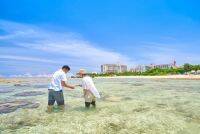 【ホテル日航アリビラ】沖縄の自然を楽しむ「サマーシーズンプログラム」を7月より開催