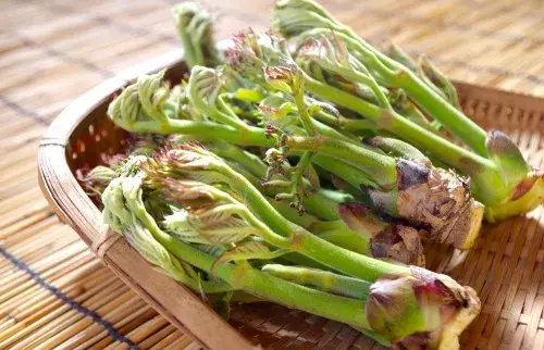 デトックスにも おいしい春野菜の選び方と保存方法 ローリエプレス