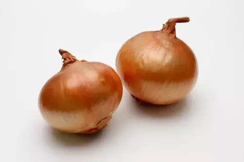 新鮮なものを見分けよう スーパーで失敗しない春野菜の選び方 ローリエプレス