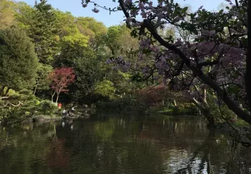 Gwどこいく 手軽にピクニックが楽しめる都内の公園2つ ローリエプレス