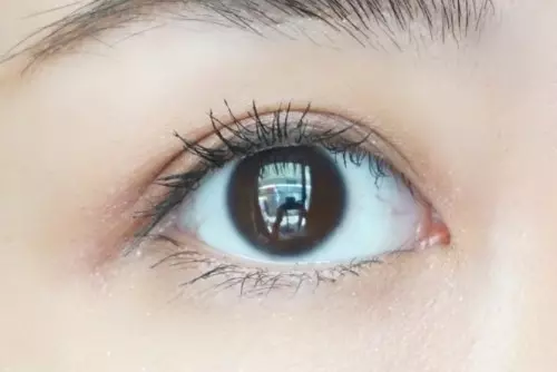 旅行の必需品 スマートにメイク直しができるコスメ4選 プレミアムコスメ ローリエプレス