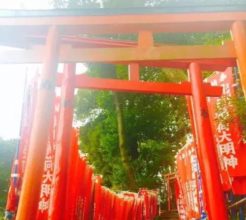 キャリアアップが叶うかも 金運 仕事運が上がる神社5選 ローリエプレス