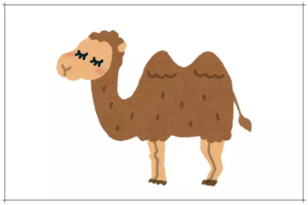 駱駝 これは難しい 馬 蛇 ヒントは砂漠と関係するアノ動物 ローリエプレス