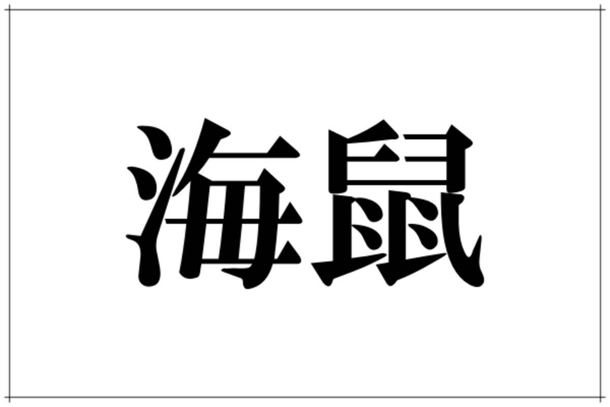 海鼠 ウミネズミってなんぞや 本当の読み方わかる人いたら海の博士 ローリエプレス