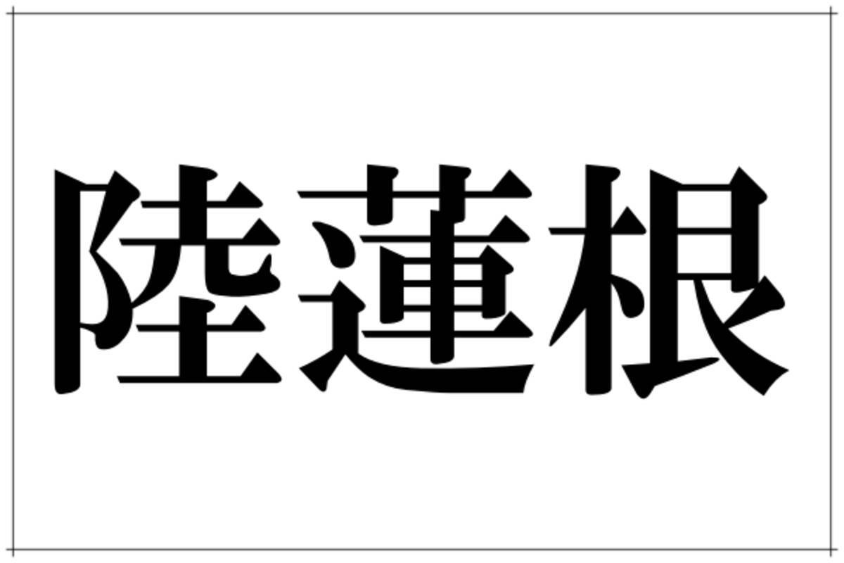 陸蓮根 この漢字なんて読むの 色合い鮮やかなアノ野菜です ローリエプレス