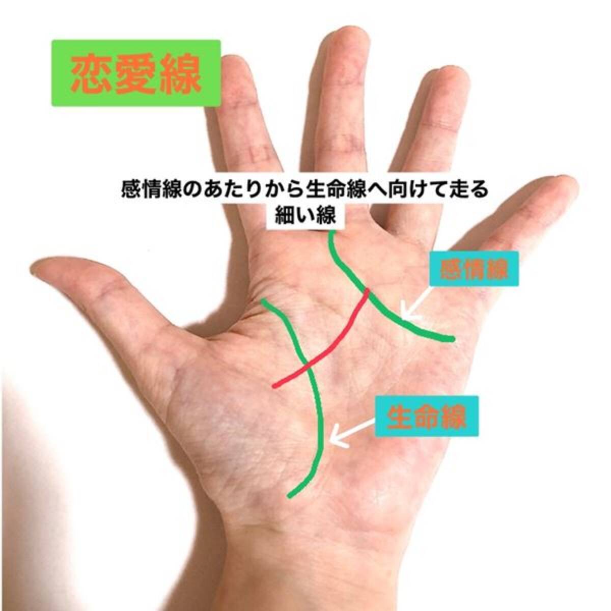 手相 恋愛に関する線はどれ あなたの恋愛線チェック ローリエプレス