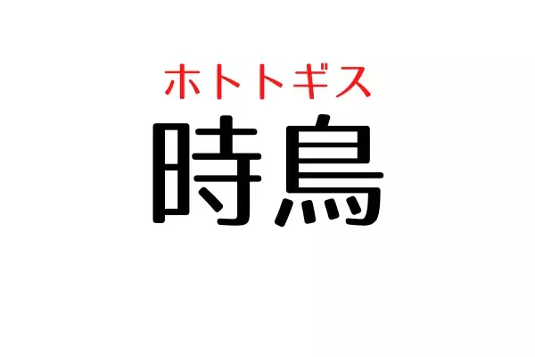 時鳥 トキトリ いいえ違います 正解はアノ鳥さん ローリエプレス