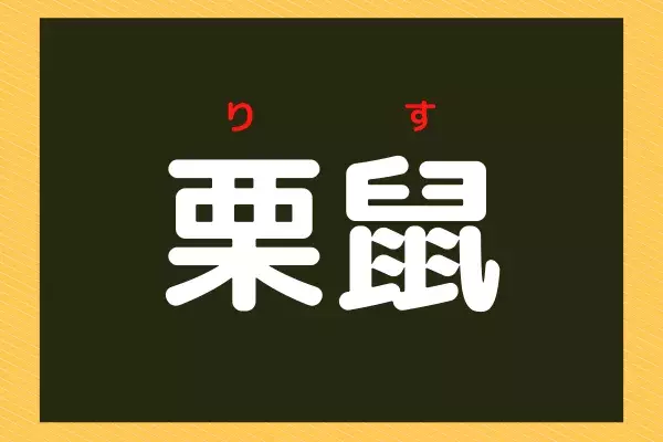 栗鼠 漢字から連想 木の実大好きあの動物 ローリエプレス