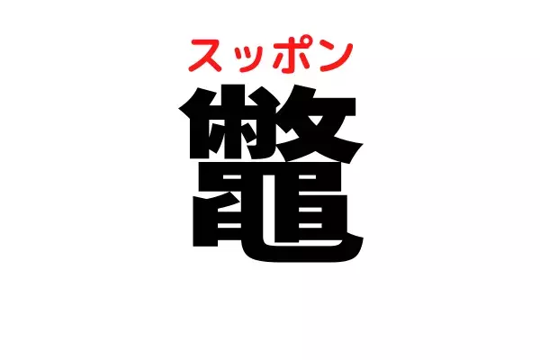 鼈 これ読めたら自慢したくなる 噛み付くと危険なあの水の中の生き物 ローリエプレス