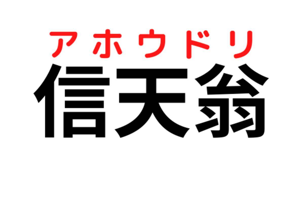 信天翁 これってなんて読む 実は鳥の名前 ローリエプレス