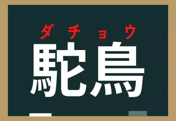 駝鳥 コレなんと読む 足の速いあの鳥です ローリエプレス