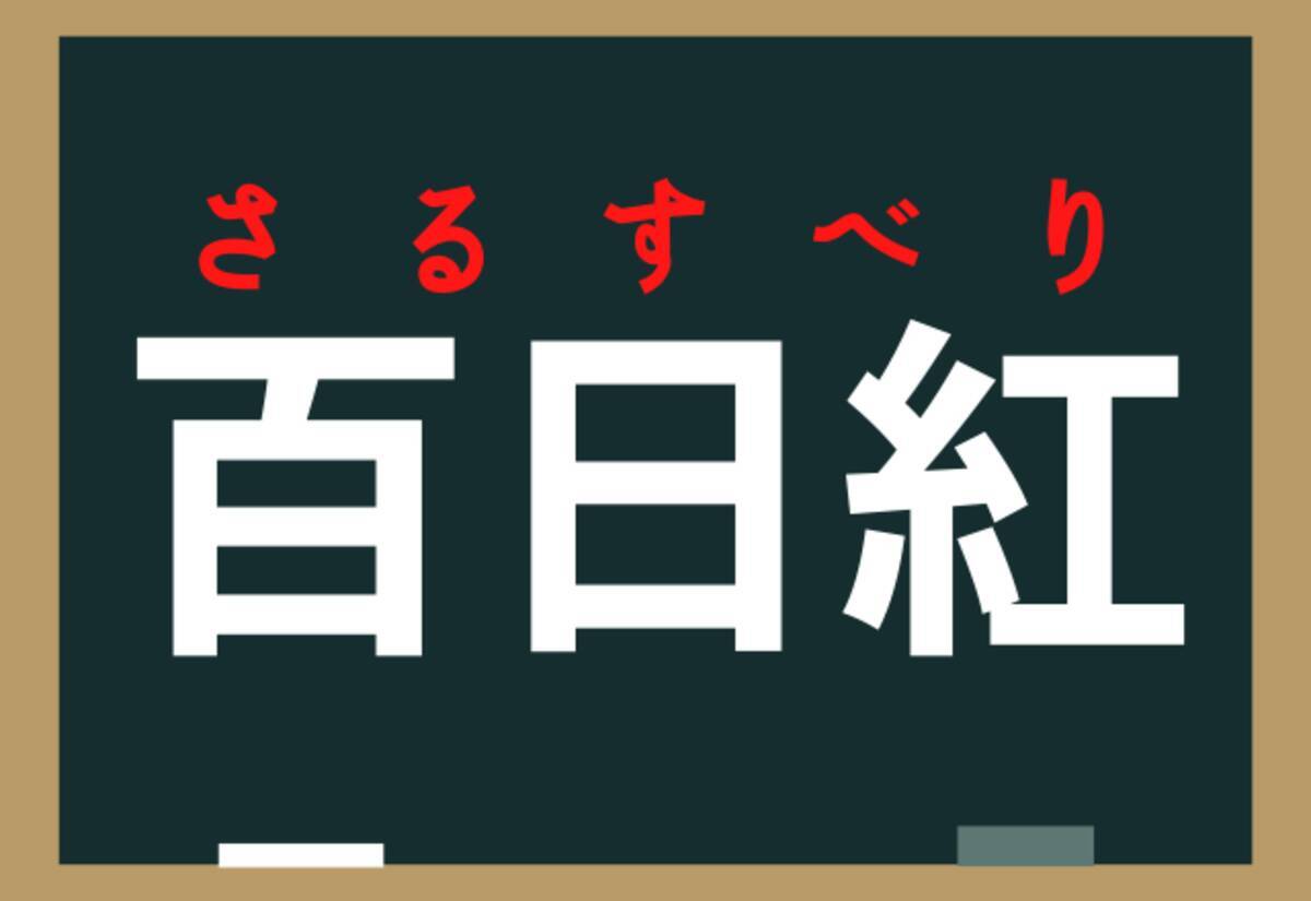 超難解 百日紅 なんと読む とある植物の名前なんです ローリエプレス