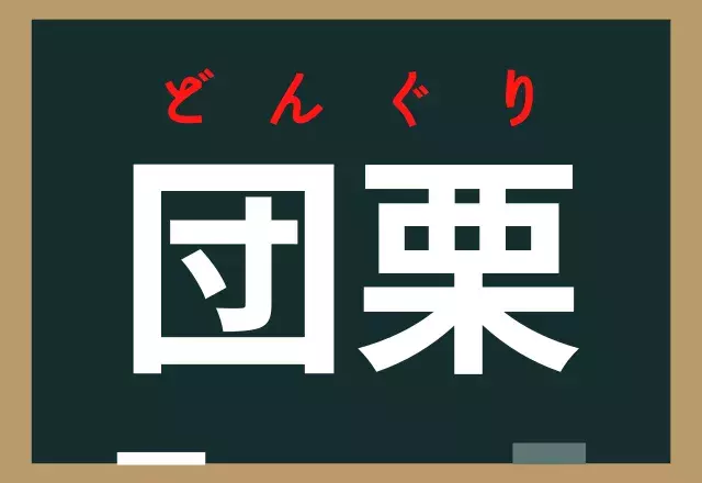 団栗 コレなんと読む 秋になると木の下に落ちているよ ローリエプレス 団栗 コレなんと読む 秋になると木の下に落ちているよ ローリエプレス