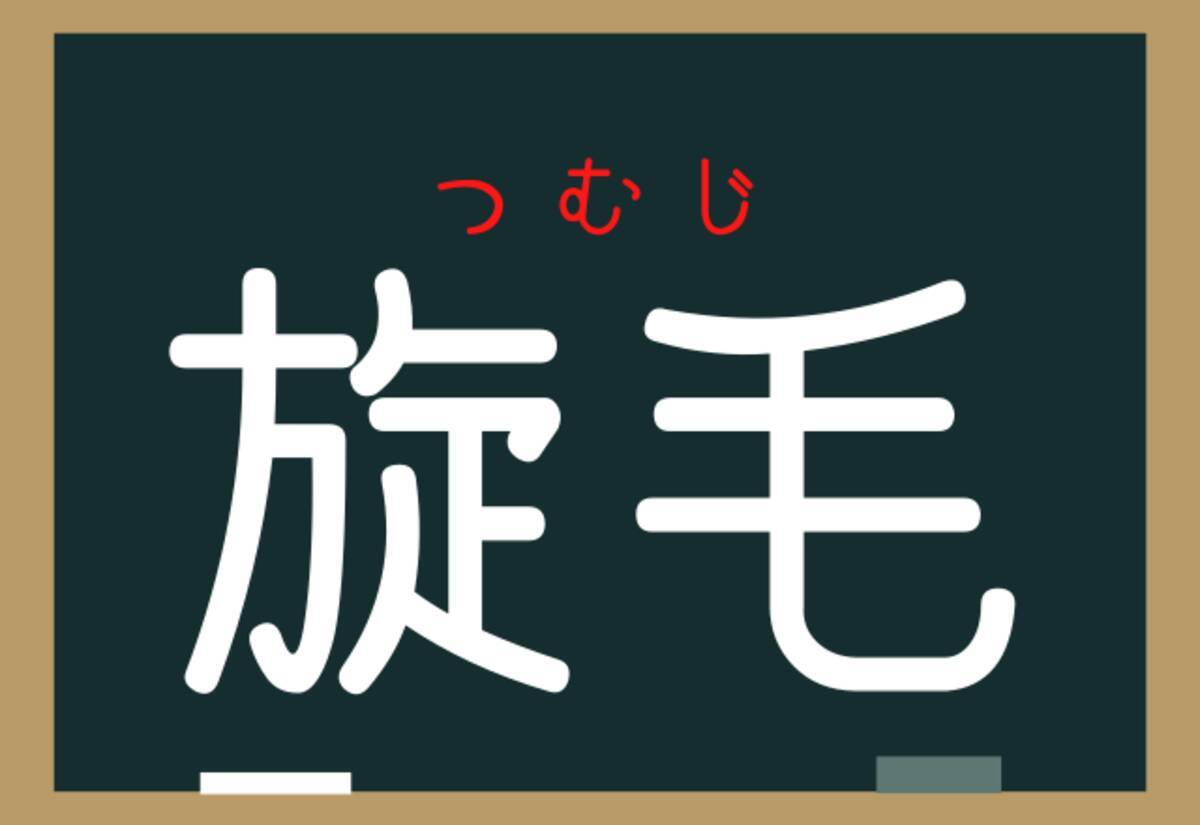 旋毛 コレなんと読む 頭にあるアレのことです ローリエプレス