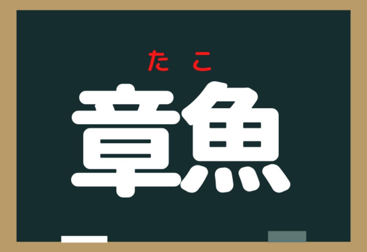 吸盤 英語 読み方