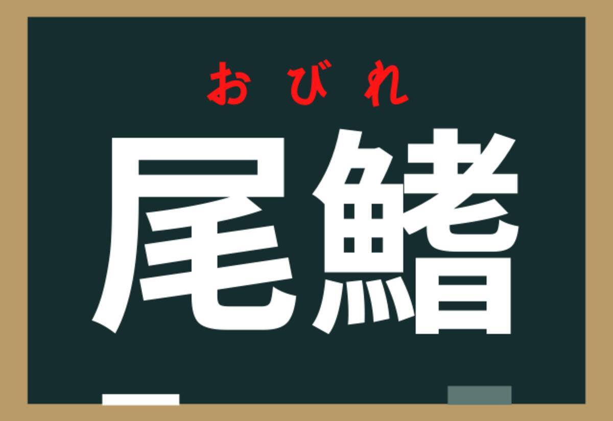 尾鰭 読めたらスゴイ 色んな形があるね ローリエプレス