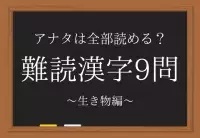 草臥れる 意外と読めない く で始まる難読漢字 ローリエプレス