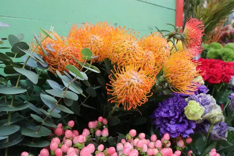 昼は花屋 夜はバー ちょっと珍しい下北沢のお花屋さん ローリエプレス 昼は花屋 夜はバー ちょっと珍しい下北沢のお花屋さん ローリエプレス