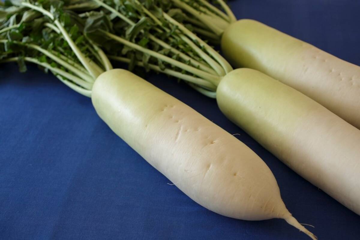 甘くてみずみずしい 大根1本丸ごとおいしく食べきる方法 野菜のきほん 1 ローリエプレス