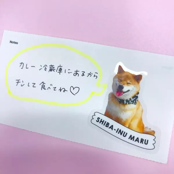 キャンドゥ Snsで大人気 柴犬まるのコラボグッズがかわいすぎる ローリエプレス