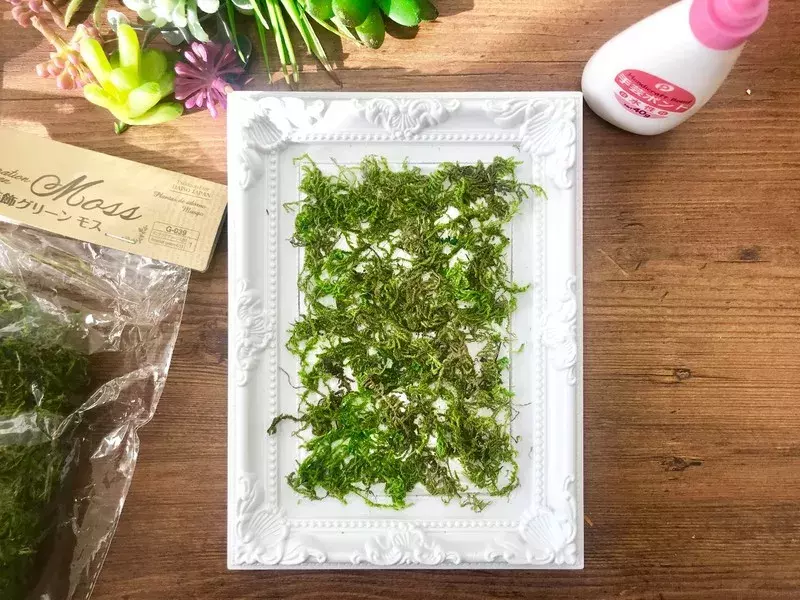 多肉植物がおしゃれに変身 100均アイテムで憧れのウォールグリーンをdiy ローリエプレス