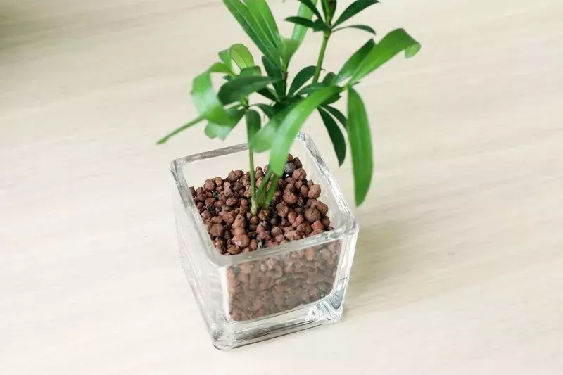 無印良品 1000円以下で買えるおしゃれなグリーンやプランターカバー4選 空間に癒やしを取り入れよう ローリエプレス