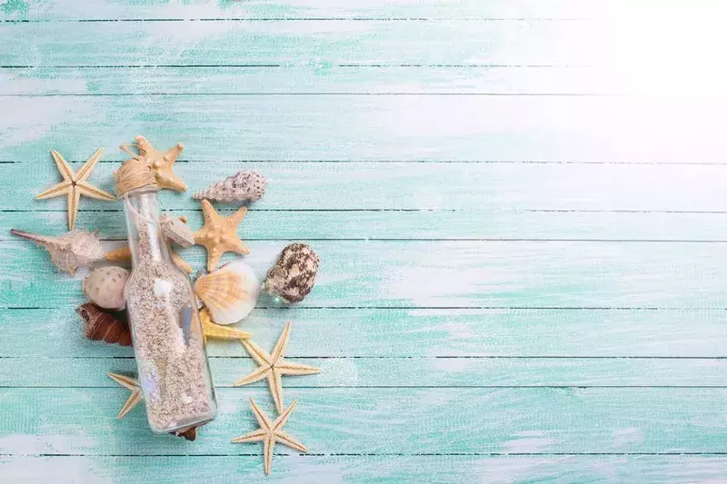 シェルモチーフで夏インテリアに模様替えしよう 置くだけでおしゃれになるおすすめ5点 ローリエプレス