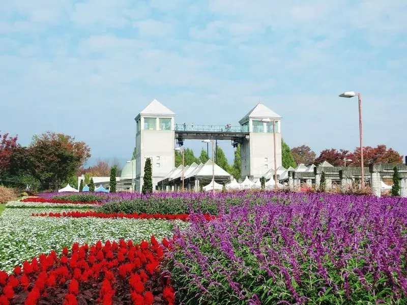 お天気の日は外で過ごしたい 一度は行きたい関東のピクニックスポット ローリエプレス