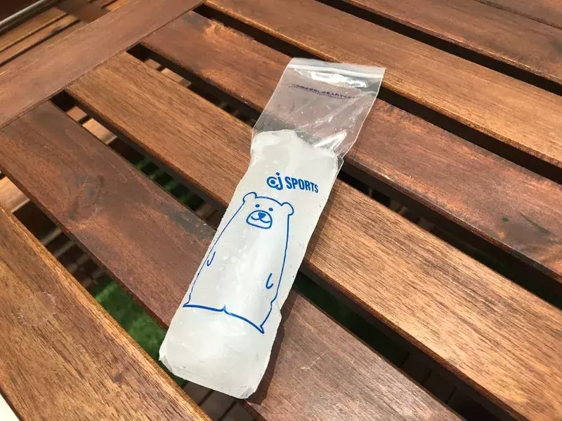 キャンドゥ 水筒専用の氷が簡単に作れる アイデア雑貨がすごい ローリエプレス キャンドゥ 水筒専用の氷が簡単に作れる アイデア雑貨がすごい ローリエプレス