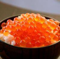 【北海道】どれも美味しすぎる♡食材の宝庫から珠玉の逸品5選✨