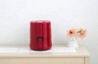 おひとり様にピッタリ♪ 小さめノンオイル調理器「ROOMMATE® ゼロフライヤーミニ EB-RM9700A-RD」発売