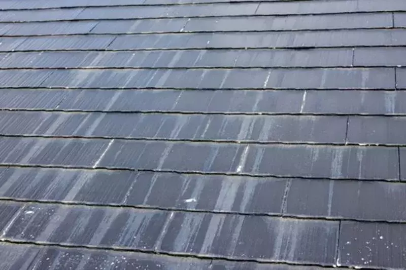 屋根掃除って必要 業者の費用相場と見積もり時のチェックポイントは ローリエプレス