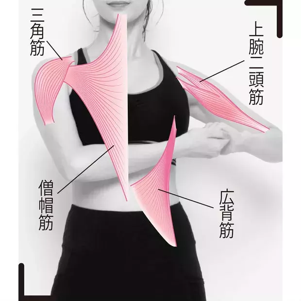 すき間時間にできる 道具いらずの さりげな筋トレ ローリエプレス