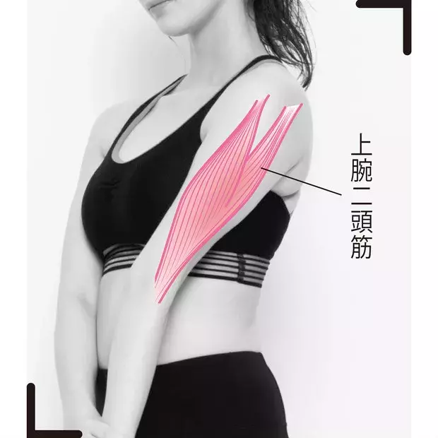 すき間時間にできる 道具いらずの さりげな筋トレ ローリエプレス