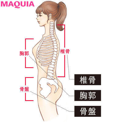 体型崩れの危険を回避 骨格を整えてくびれを再生する基本のq A ローリエプレス