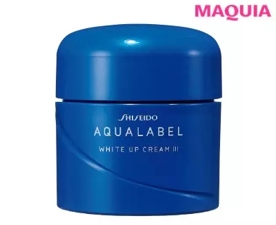 プチプラスキンケアの効果倍増 小林ひろ美流 お値段以上 の効かせワザ ローリエプレス