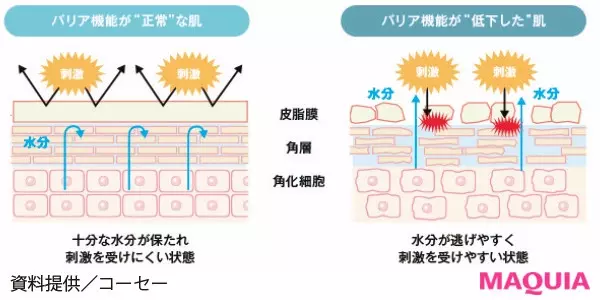 ざわざわする肌質を改善するには 肌の赤みやピリピリを予防したり 肌質を改善することはできる ローリエプレス