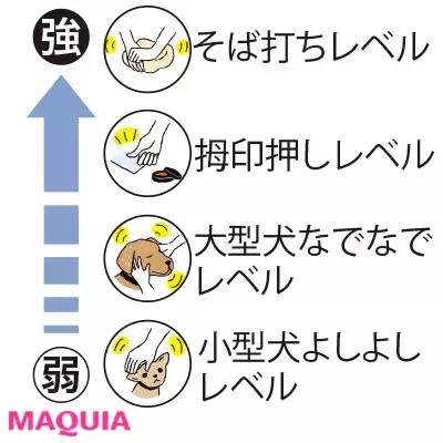 クリームの ついで に 小林ひろ美さんが教える 流し小顔 テク ローリエプレス クリームの ついで に 小林ひろ美さんが教える 流し小顔 テク ローリエプレス
