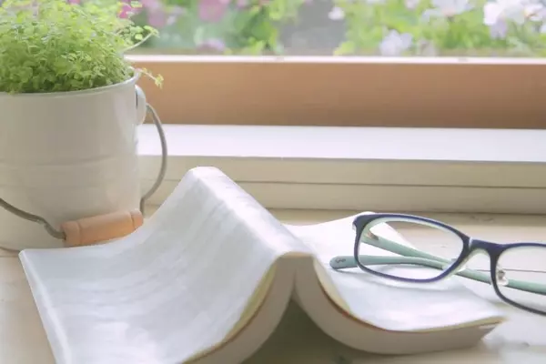 ホワイトデーにお返しを返さない男子の心理と対処法 ローリエプレス