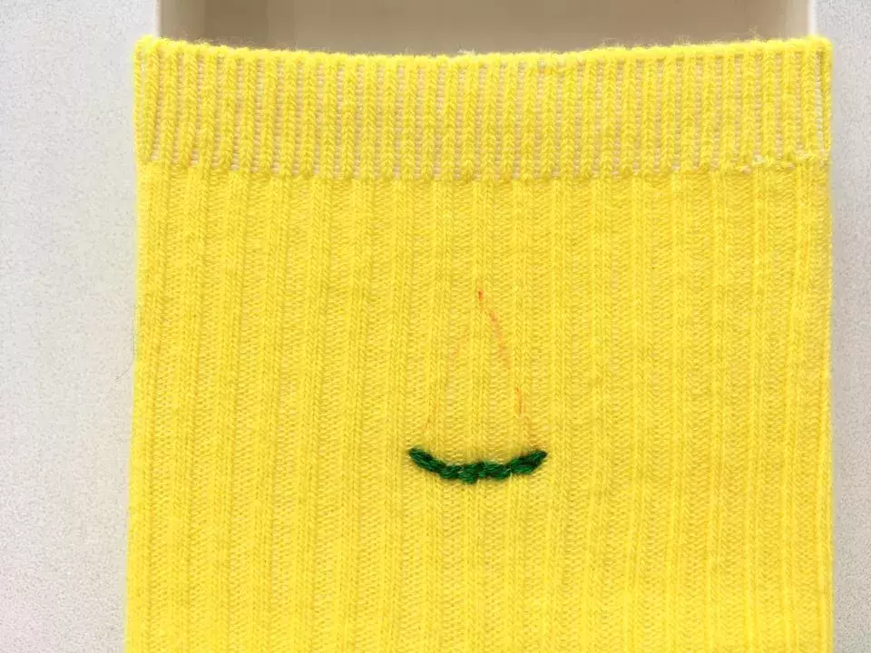 どこよりも詳しい 簡単かわいい刺繍のやり方 カラー靴下編 ローリエプレス どこよりも詳しい 簡単かわいい刺繍のやり方 カラー靴下編 ローリエプレス