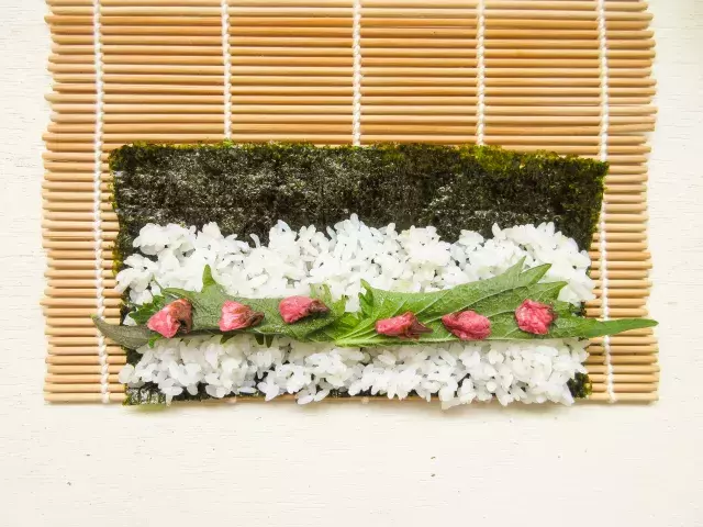 お弁当まで桜満開 お花見にぴったり 春の気分いっぱいの2種の桜おにぎり ローリエプレス お弁当まで桜満開 お花見にぴったり 春の気分いっぱいの2種の桜おにぎり ローリエプレス