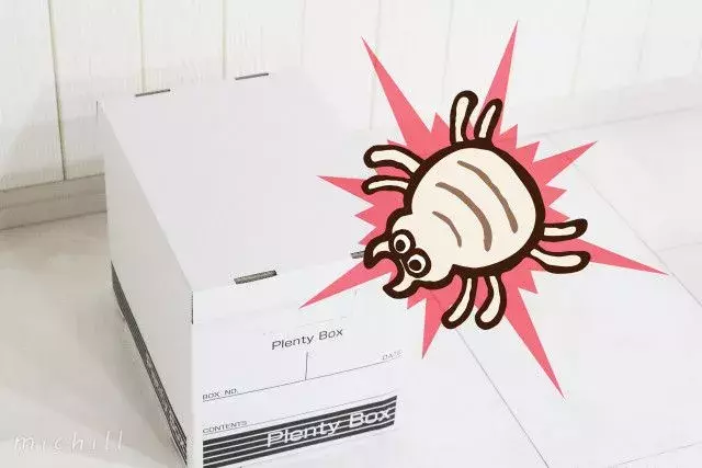 虫の住処になってない プロが教えるダンボール収納をオススメしない理由 ローリエプレス