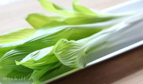 食卓にも春の彩り 春を味わう春野菜サラダのレシピ3選 ローリエプレス