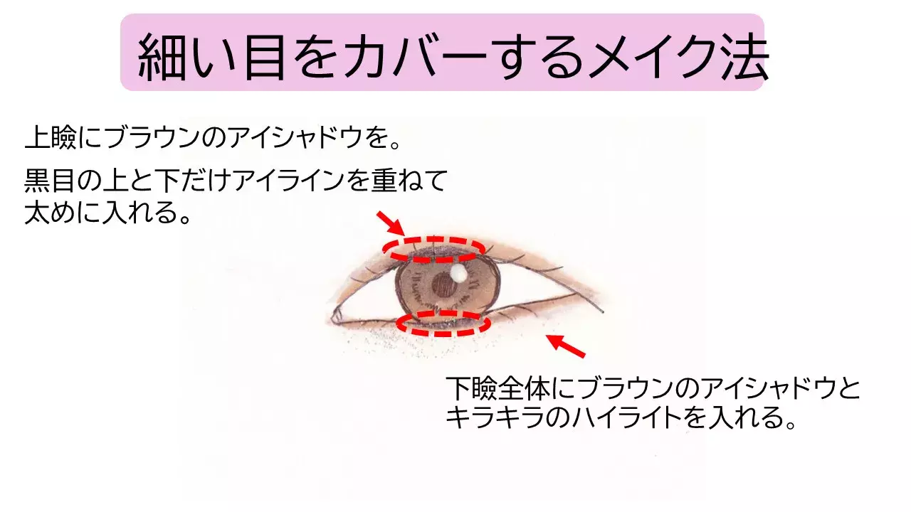 タレ目 つり目 細い目 丸目 目の形別 垢抜けアイメイクのコツ ローリエプレス