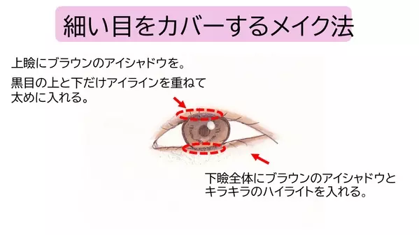 タレ目 つり目 細い目 丸目 目の形別 垢抜けアイメイクのコツ ローリエプレス