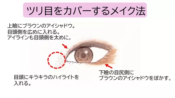タレ目 つり目 細い目 丸目 目の形別 垢抜けアイメイクのコツ ローリエプレス