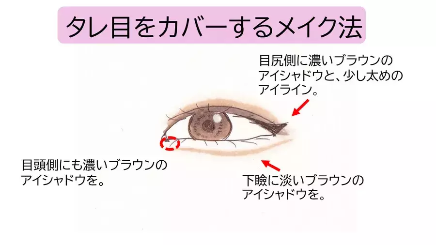 タレ目 つり目 細い目 丸目 目の形別 垢抜けアイメイクのコツ ローリエプレス