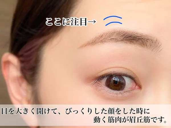 美人見え確実 絶対マスターしたい 平行眉 さらに垢抜ける 応用眉 の作り方 ローリエプレス