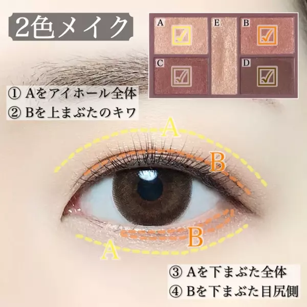 塗り方変えたらこんなに変わる プチプラアイシャドウパレットの垢抜ける塗り方4選 ローリエプレス